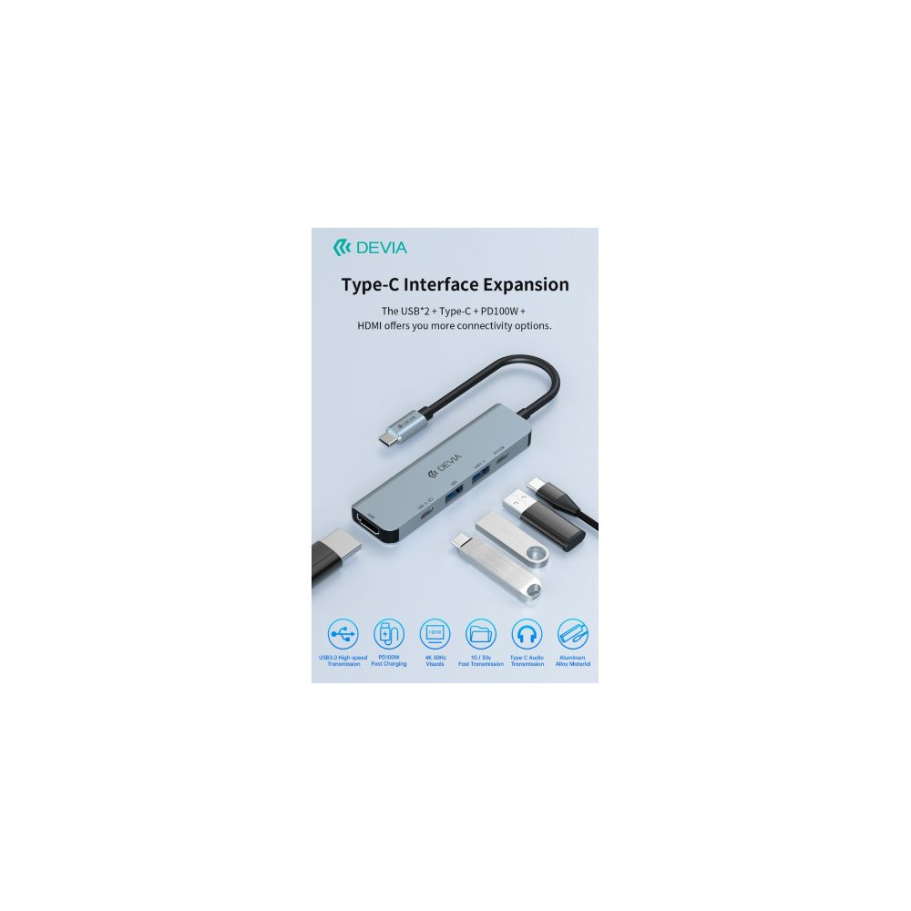Devia HUB 5 in 1 serie Leopard C a USB*2+C+PD 100W+HDMI 4K