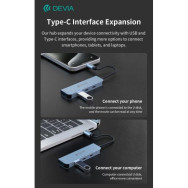 Devia HUB 4 in 1 da tipo C a USB x2 + C + PD 100 W serie Leopard