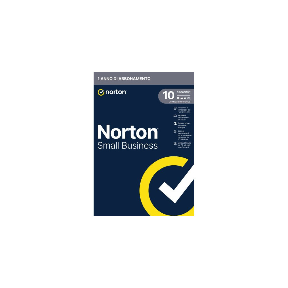 NORTON SMALL BUSINESS 1USER 10 DEV 250GB BACKUP 12 MESI
