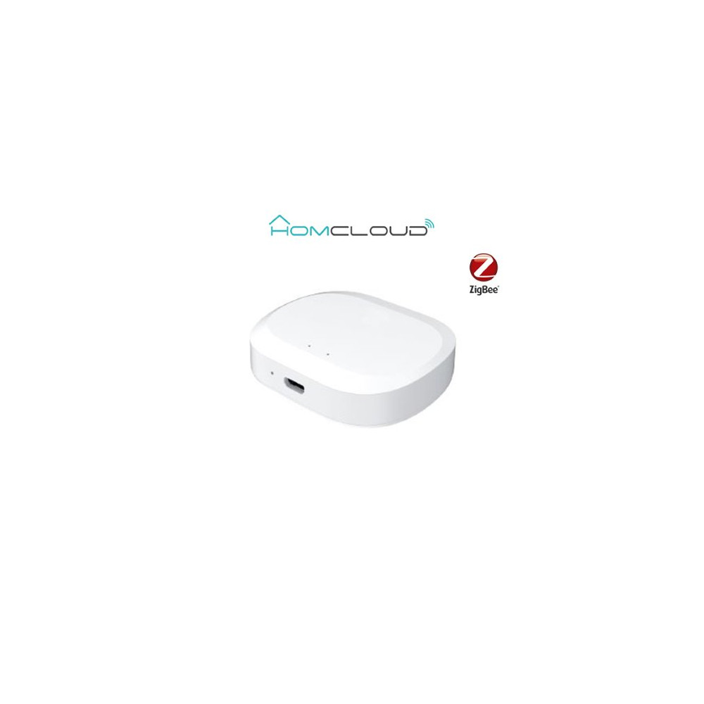Homcloud Centralina intelligente Hub - Zigbee+Bluetooth