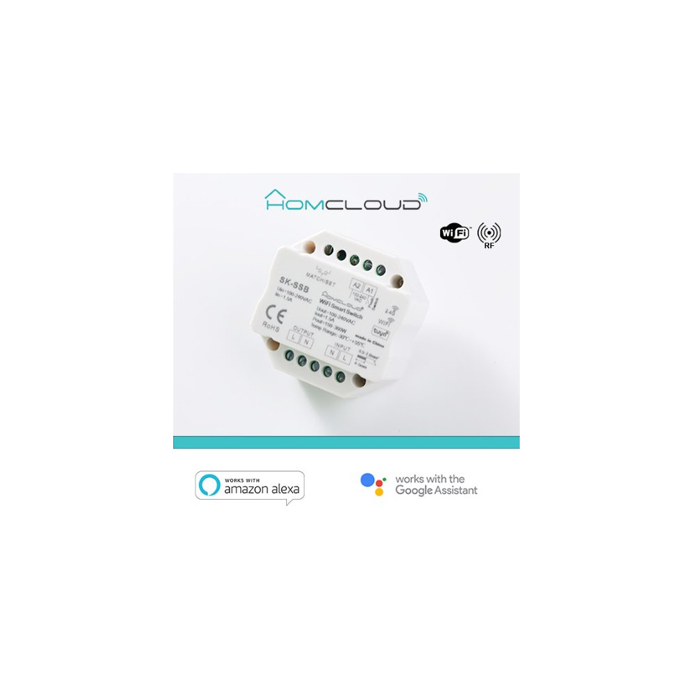 Homcloud Modulo Smart Pulsante 220V AC 1CHx1.5A Wi-Fi+RF 2.4G