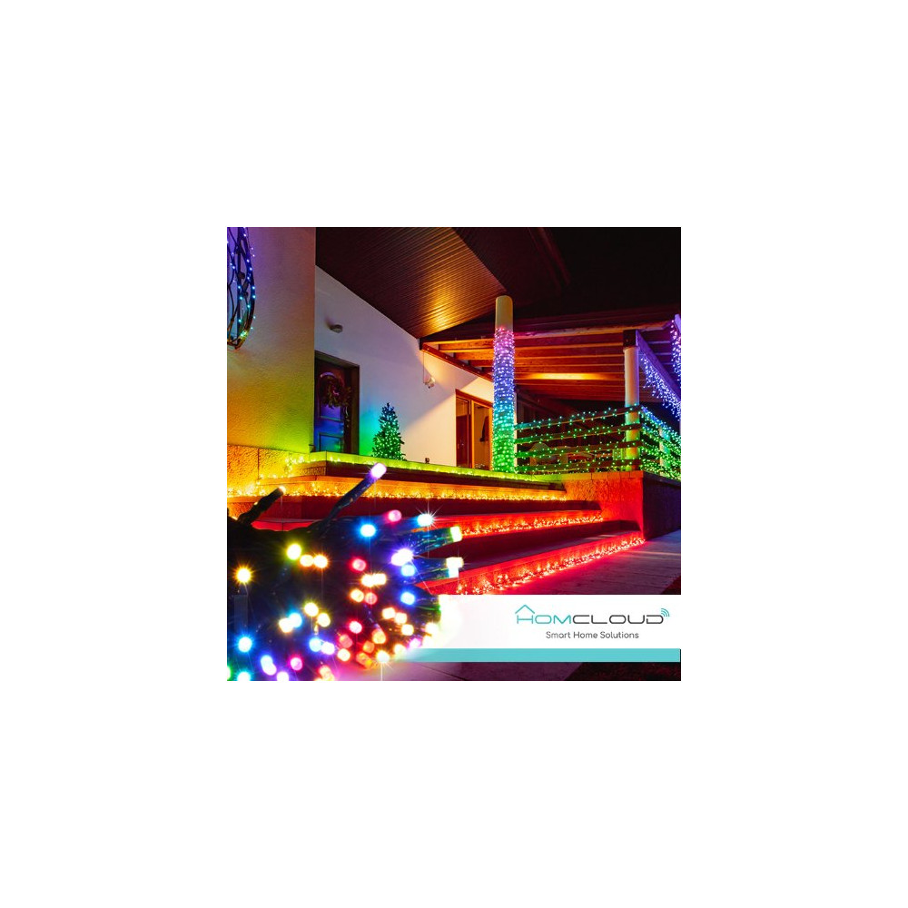 Homcloud Stringa di 200 Luci decorative Smart a Led RGB-IC Wi-Fi+Bluetooth 20M