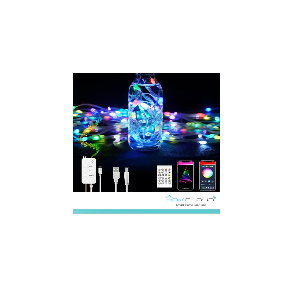 Homcloud Corda in PVC di Luci Decorative Smart RGB-IC OUTDOOR Wi-Fi + Bluetooth 10M IP65