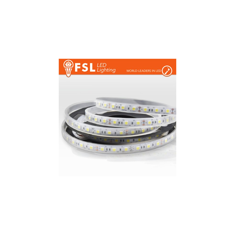 Luce Calda - 3000K Striscia LED 5m IP65 5050 24V - 12W/m 60led/m 3000K