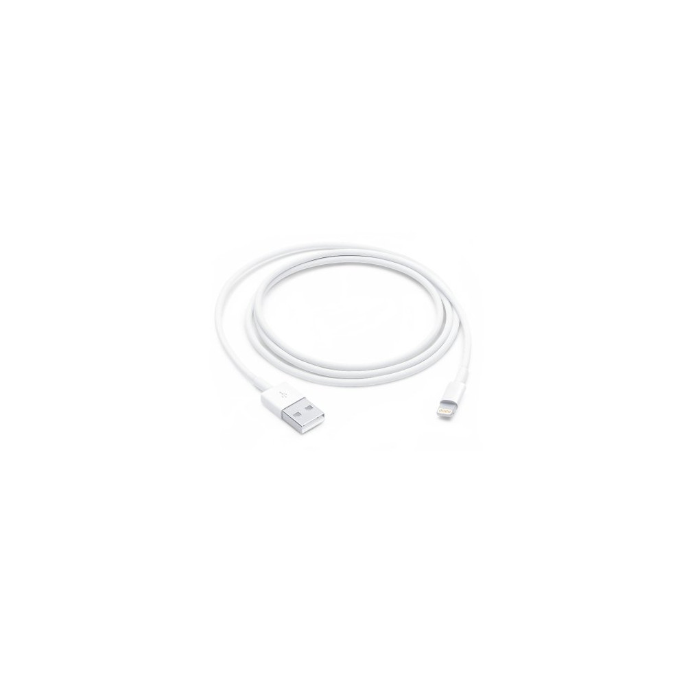 Cavo Lightning Apple USB (1M)