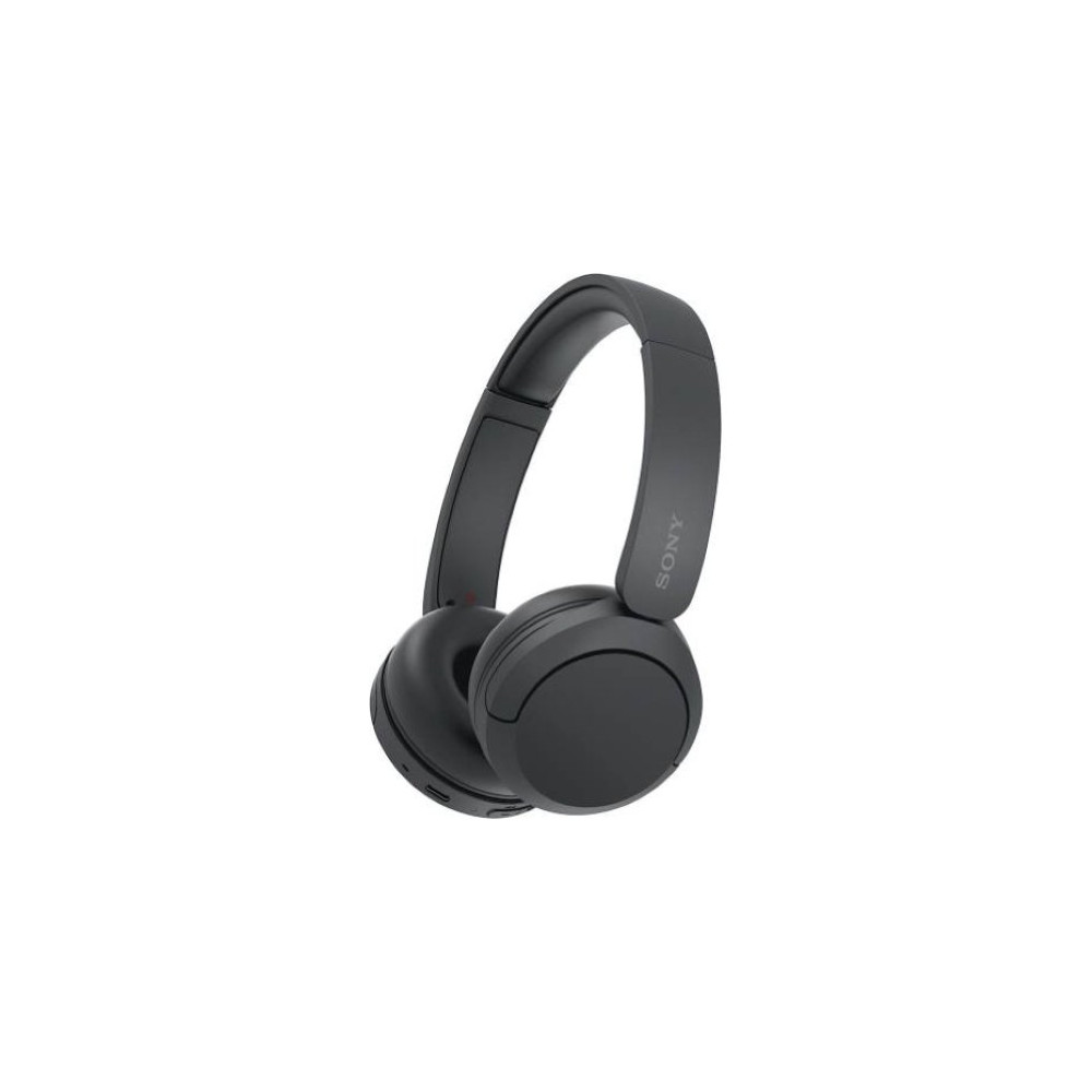 Sony Cuffie Wir/BT Mic WH-CH520 Black