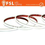 LUCE FREDDA - 6500K STRISCIA LED COB 5METRI - IP65 6500K 24V 15W/M 1500LM/M