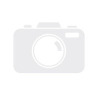 VGA MSI RTX 5060 TI VENTUS 2X OC PL 8GB GDDR7 256BIT 1H/3DP