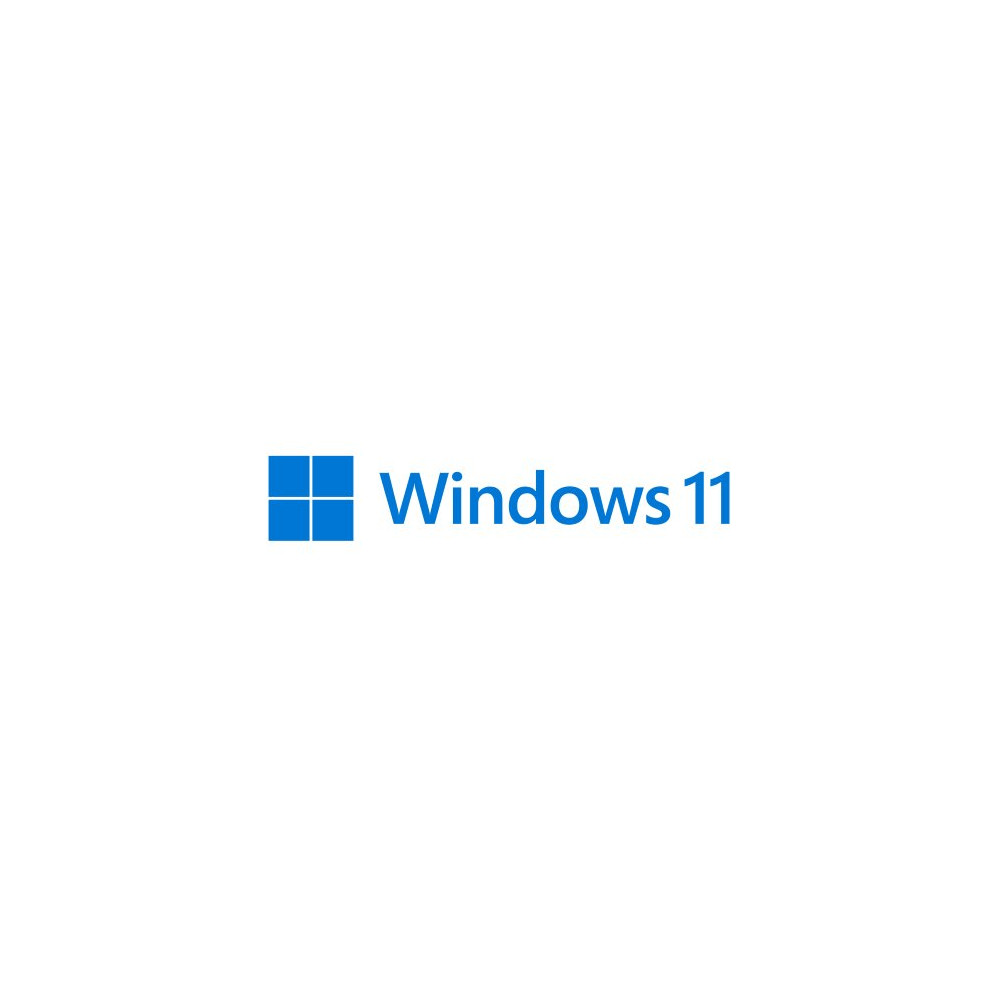 SW MS WINDOWS 11 PRO 64BIT 1PK DSP OEI DVD