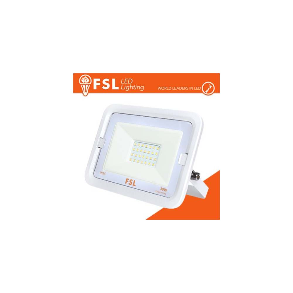 LUCE FREDDA - 6500K PROIETTORE PER ESTERNI BIANCO 30W - IP65 115Â° 6500K